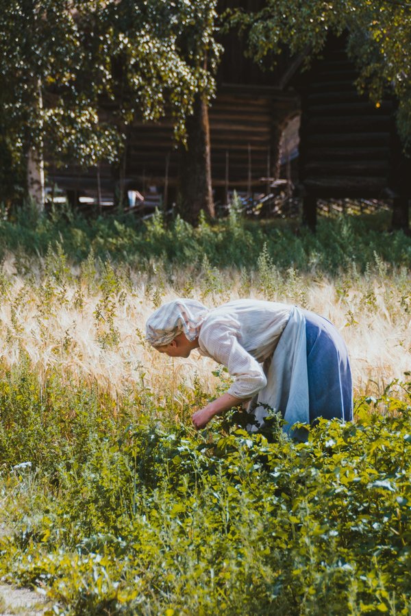 Détruire les racines des mauvaises herbes : nos astuces naturelles